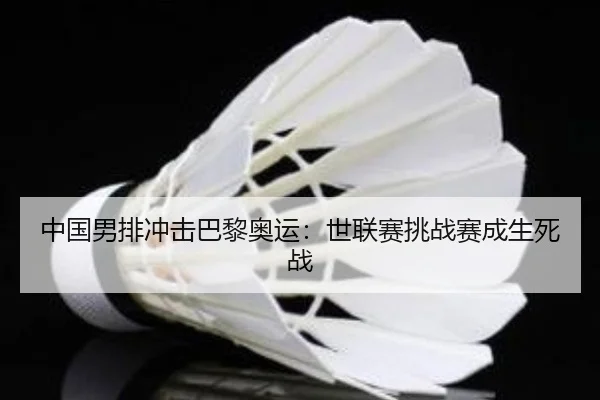 zhong-guo-nan-pai-chong-ji-ba-li-ao-yun-shi-lian-sai-tiao-zhan-sai-cheng-sheng-si-zhan-3-354.jpg