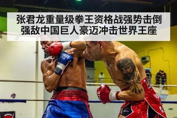 张君龙重量级拳王资格战强势击倒强敌中国巨人豪迈冲击世界王座